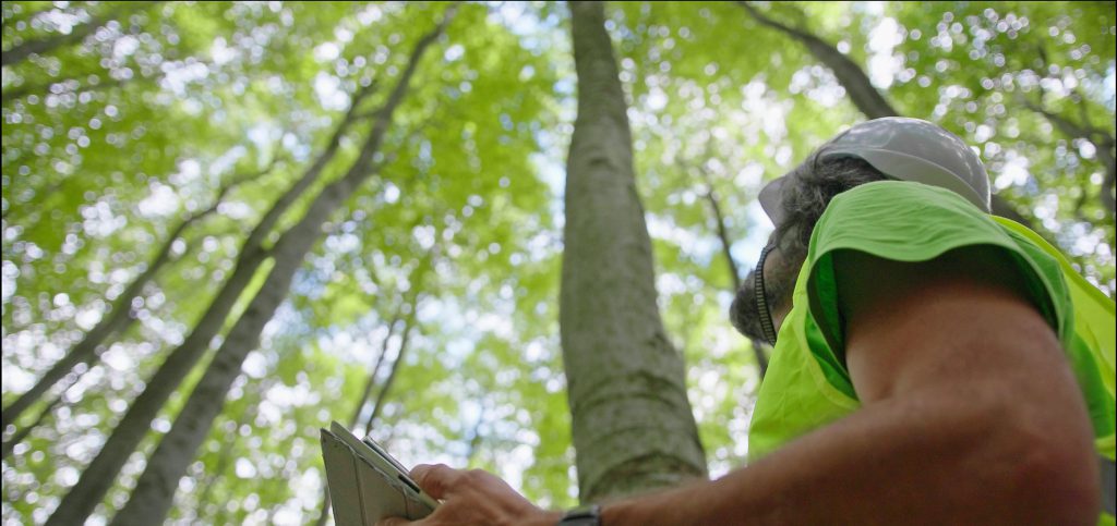 Dixon Trädvård - Konsultation