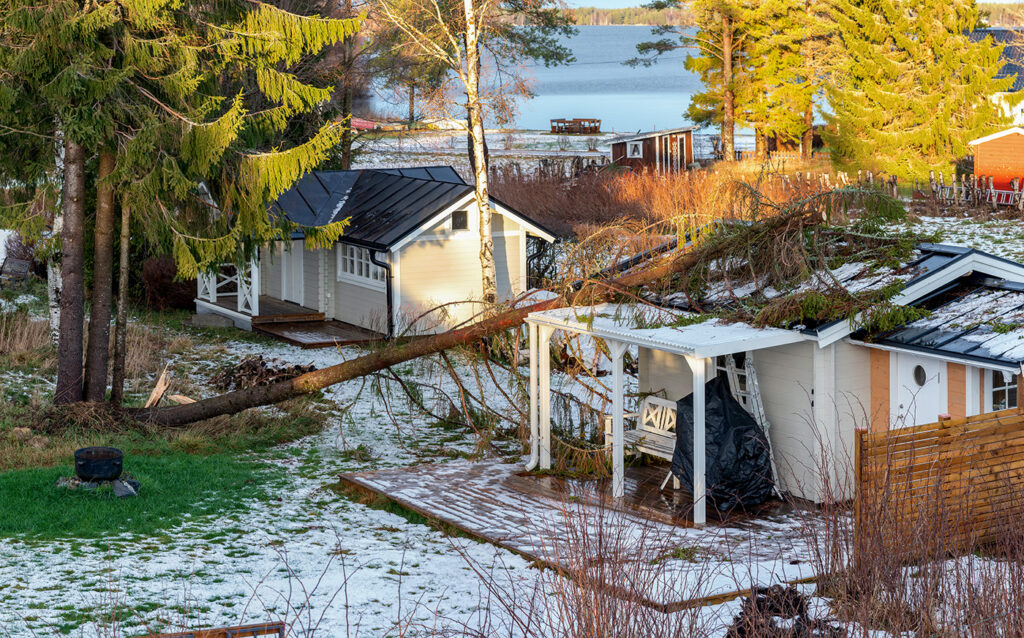 Dixon Trädvård - Kostnadsfri trädbesiktning